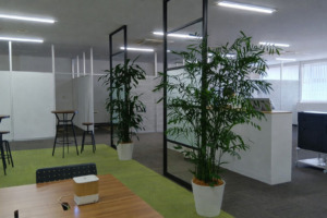 オフィスグリーン